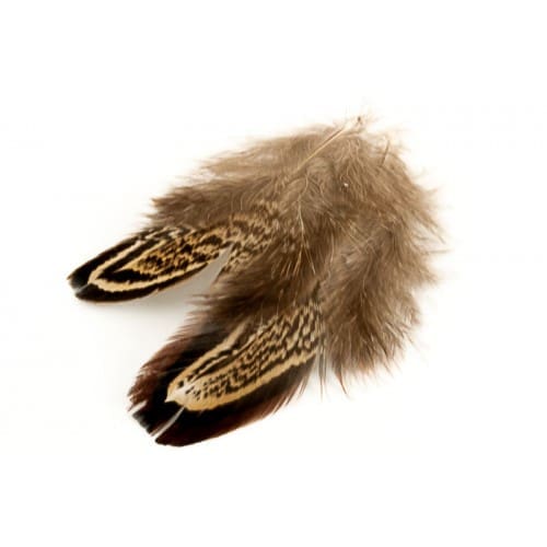 Ringneck Pheasant - Loose Feathers