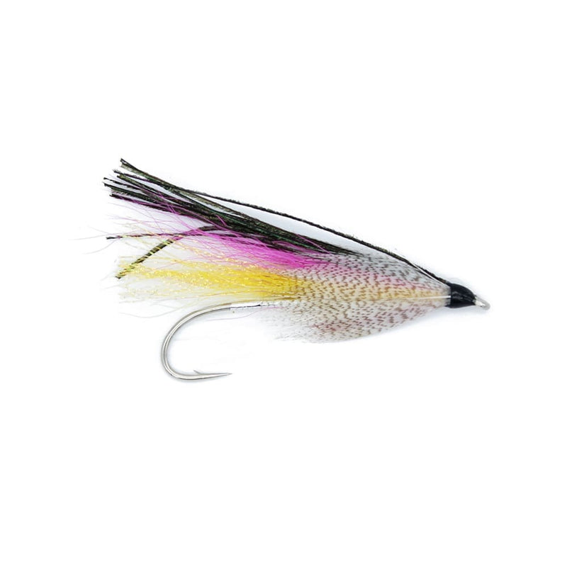 Rainbow Smelt - Lac