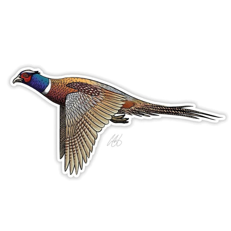 Ringneck Pheasant Sticker