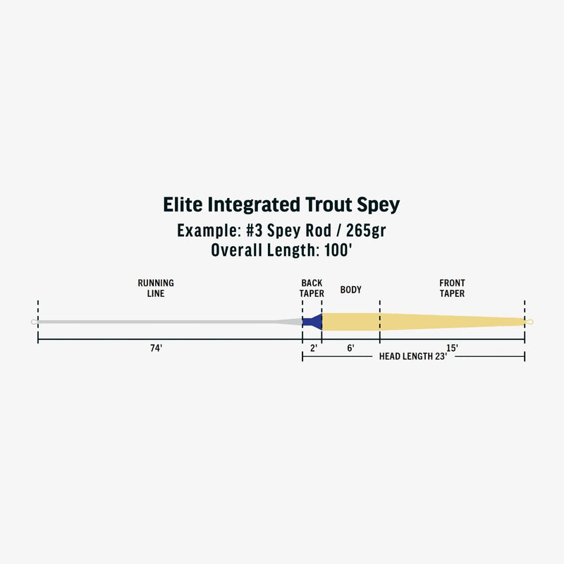 Elite Integrated Trout Spey Fly Line