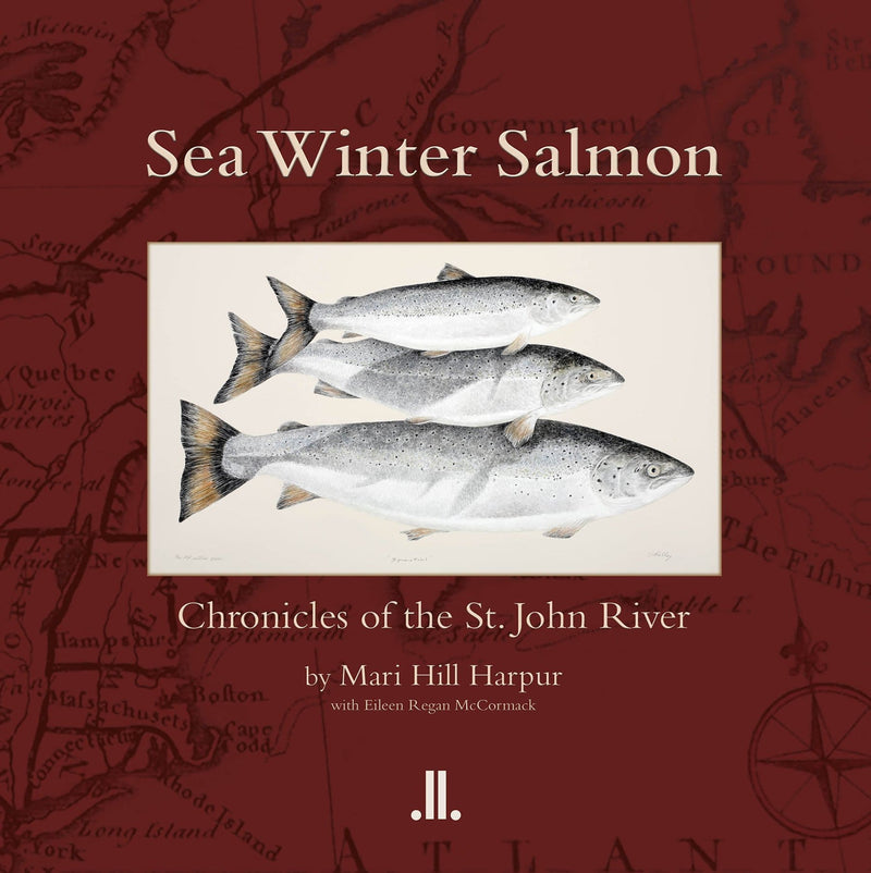 Sea Winter Salmon - Mari Hill Harpur