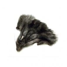 Silver Fox Head