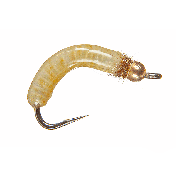 Silverman's Crane Fly Larva - Cream