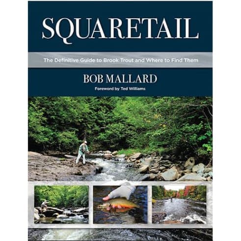 Squaretail - Bob Mallard