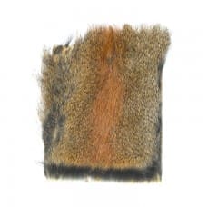 Squirrel - Body Piece