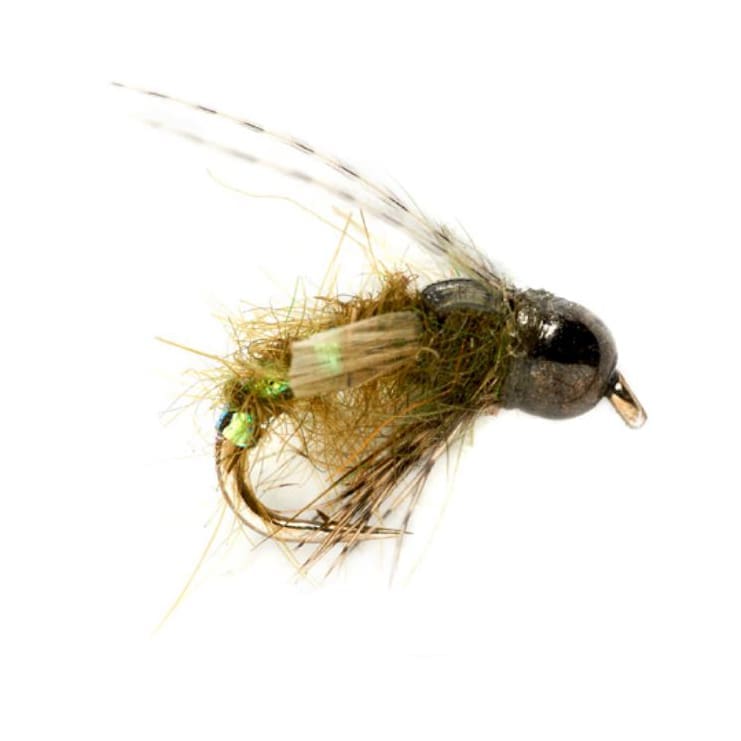 Thrift Shop Caddis - Olive