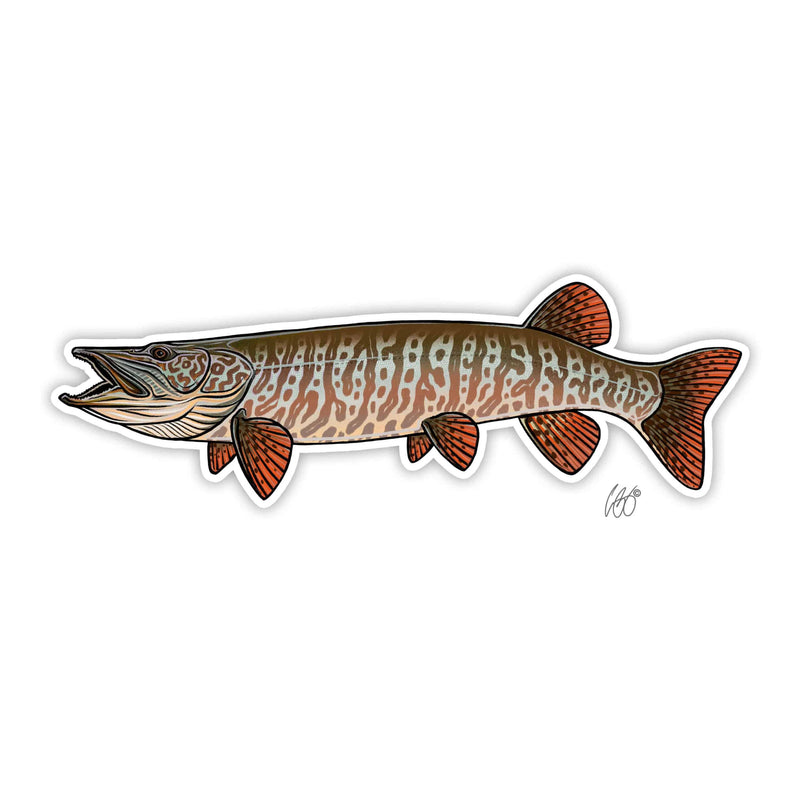 Tiger Muskie Sticker