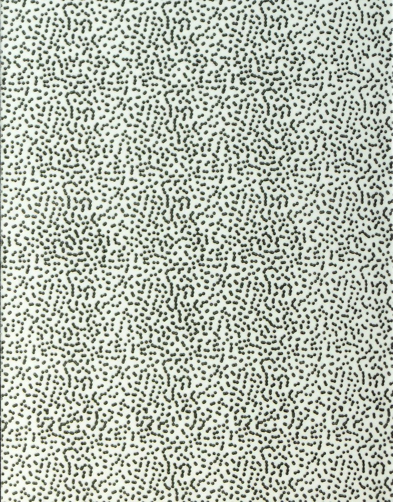 Thin Skin - Specks