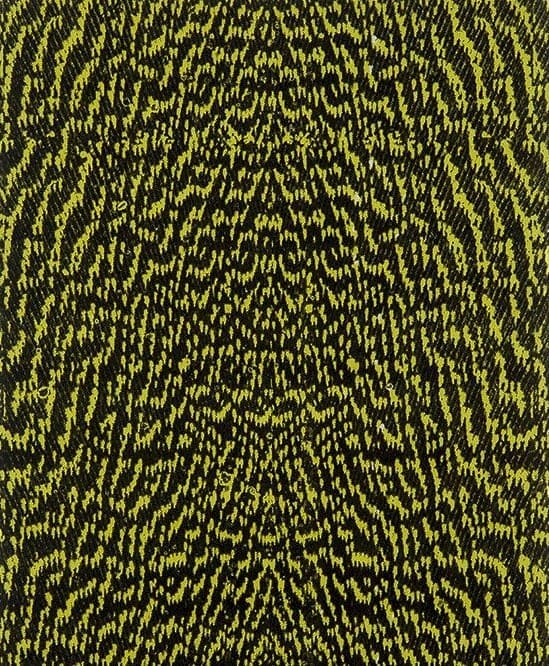 Thin Skin - Mottled Bustard