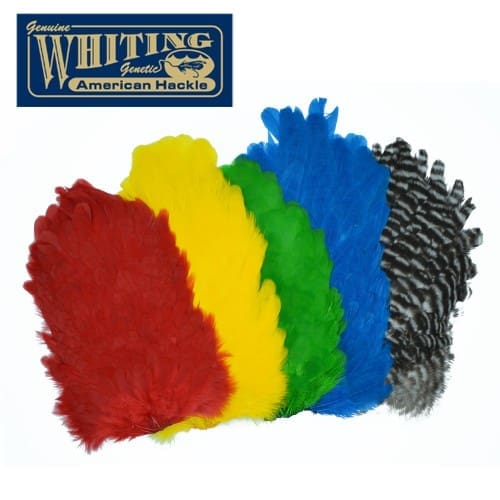 Whiting American Hen - Saddle