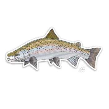 Atlantic Salmon Sticker — Boutique Salmo Nature