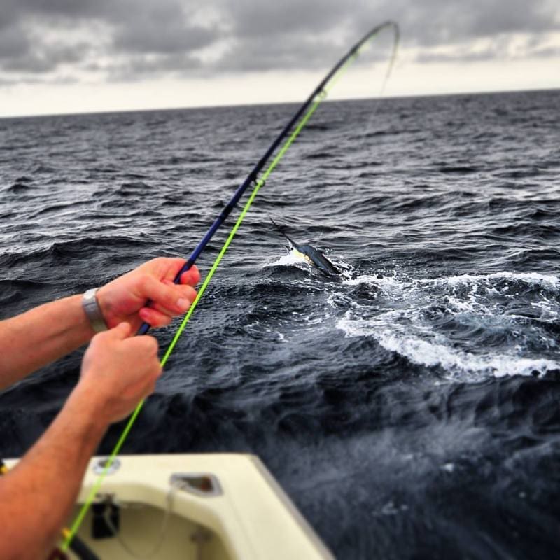 Billfish Intermediate Fly Line - Intermediate Tip