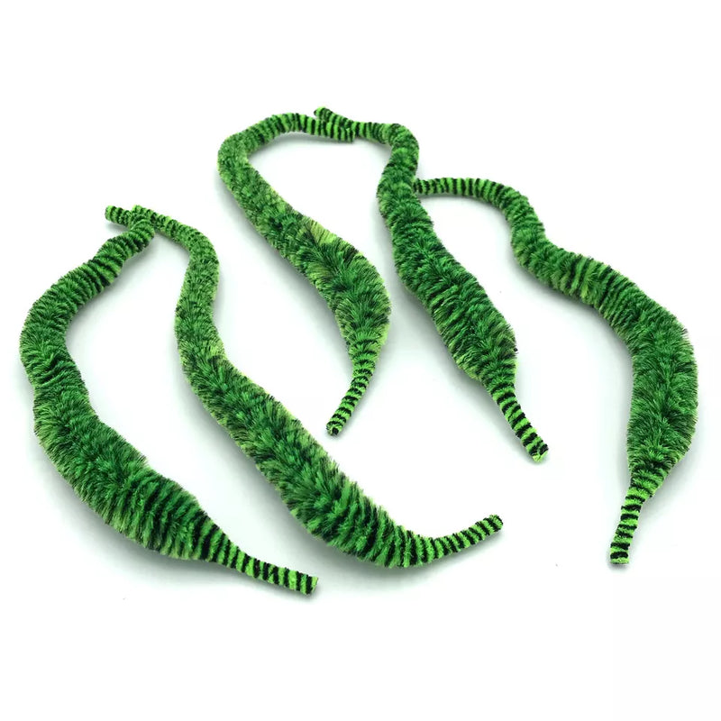 Queue de dragon de Mangum