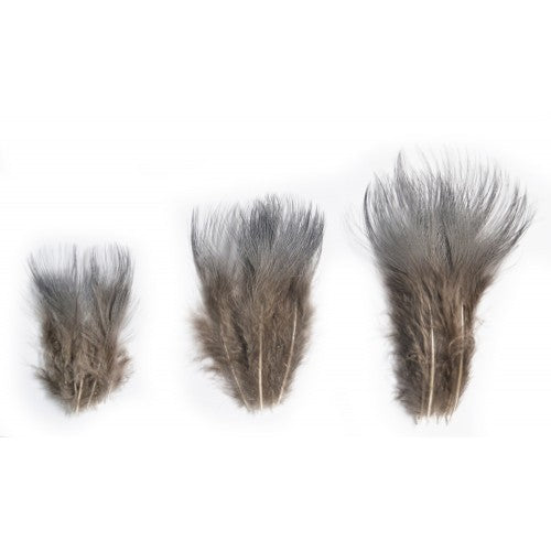 Blue Eared Pheasant - Feathers (10)