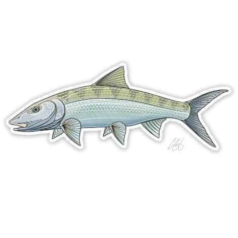 Bonefish Sticker