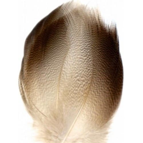 Mallard Bronze Flanc