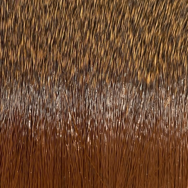 Deer Body Hair