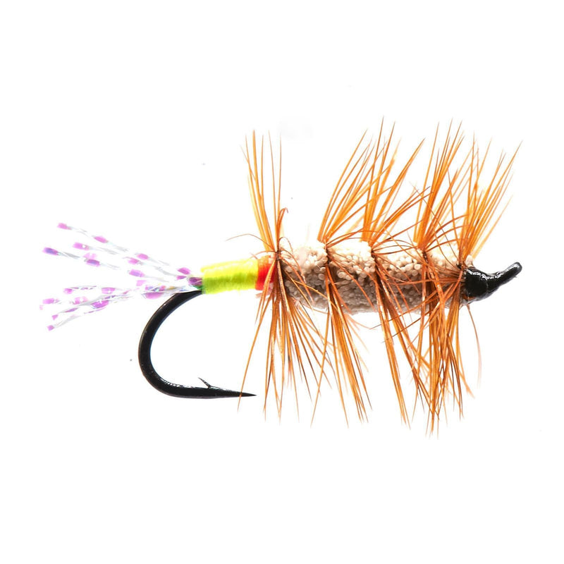 Buck Bug Fesses Rouge/Vert