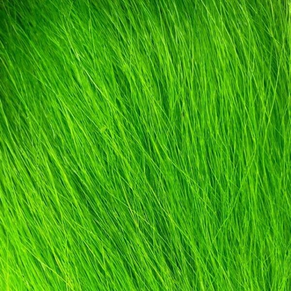 Polar Bear Fur - Short