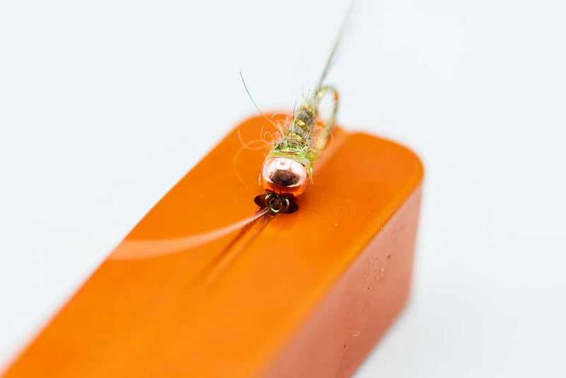 Support à cannes - Vert foncé