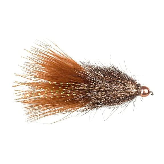 Coffee's Sparkle Minnow