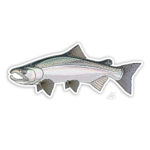 Coho Sticker