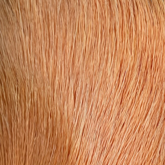 Deer Belly Hair
