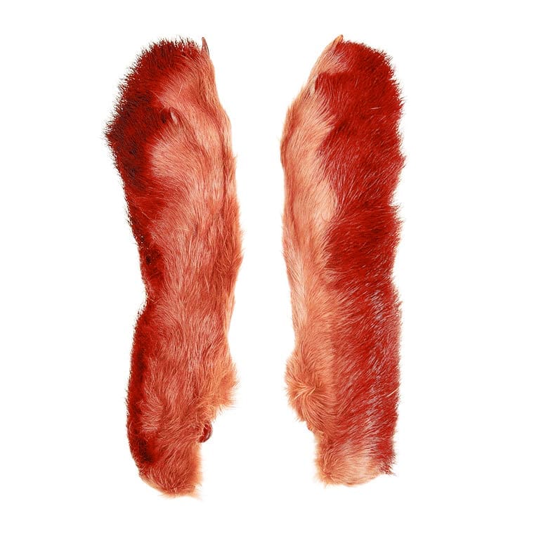 Chaussures d'hiver Jack Rabbit