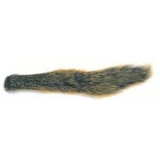 Fox Squirrel - Tail