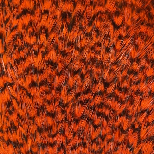 Whiting American Rooster Cape Pack - 24 Hackles