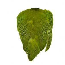 Guinea Fowl - Full Skin (Dyed Chartreuse)