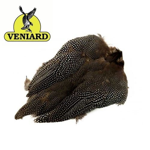 Guinea Fowl N1- Skin