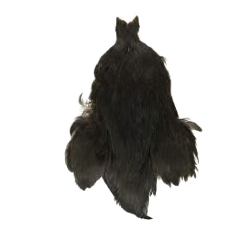 Whiting 4B - Hen Cape