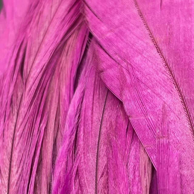 Rooster Tail - Feathers