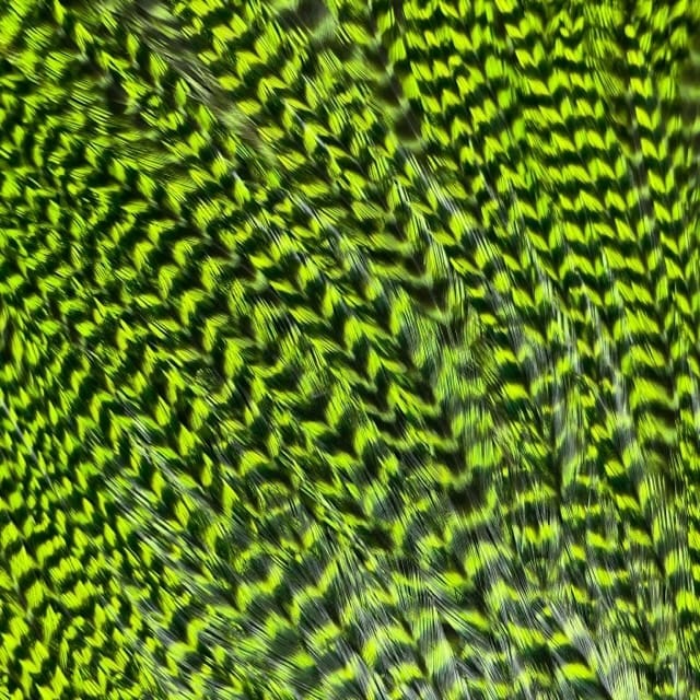 Ewing - Grizzly Rooster Saddle