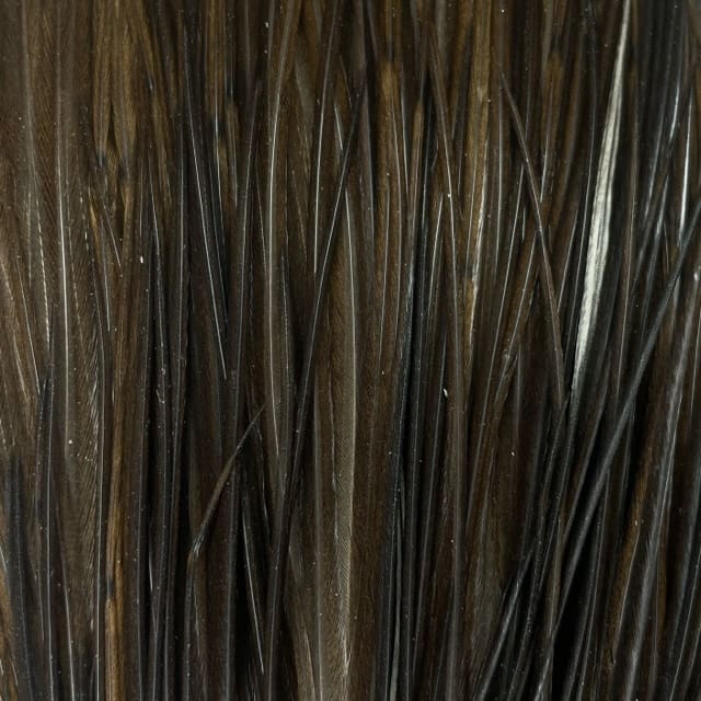 Whiting Hebert Miner Dry Fly - Pro Grade Cape - Noir