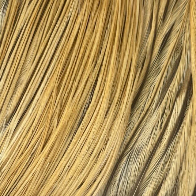 Whiting Bugger-Bomber Pack