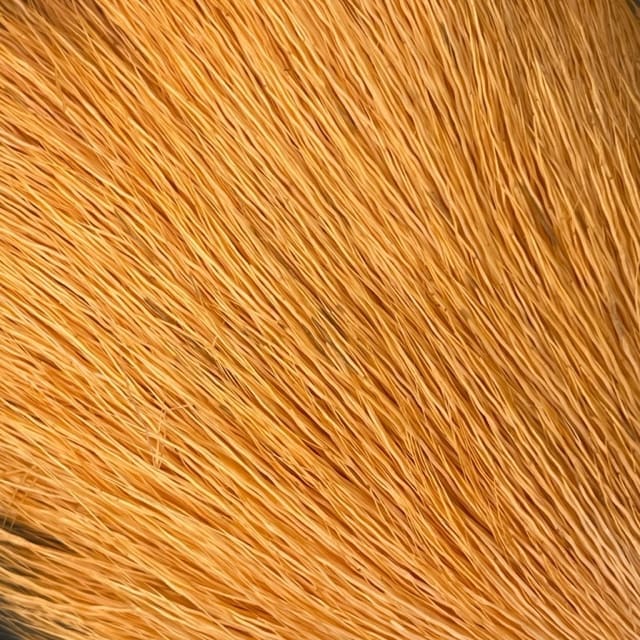 Deer Belly Hair - Shor