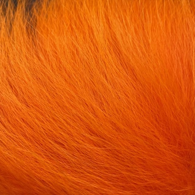 Temple Fur - Premium