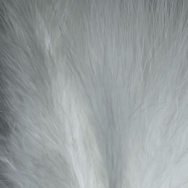 Strung Marabou Spey 6''- 8''