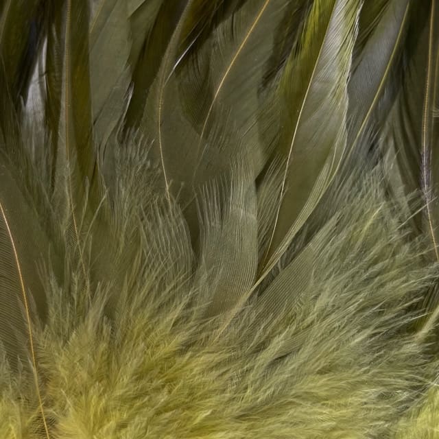 Strung Hackle 3'' to 5"