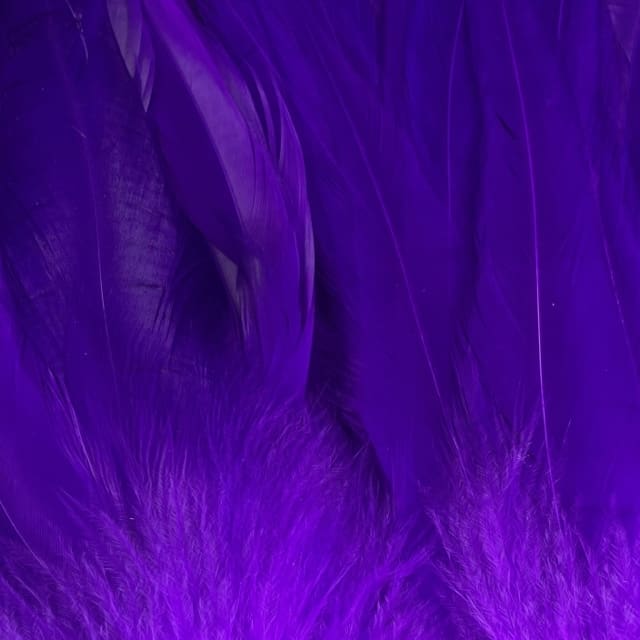 Strung Hackle 3'' to 5"