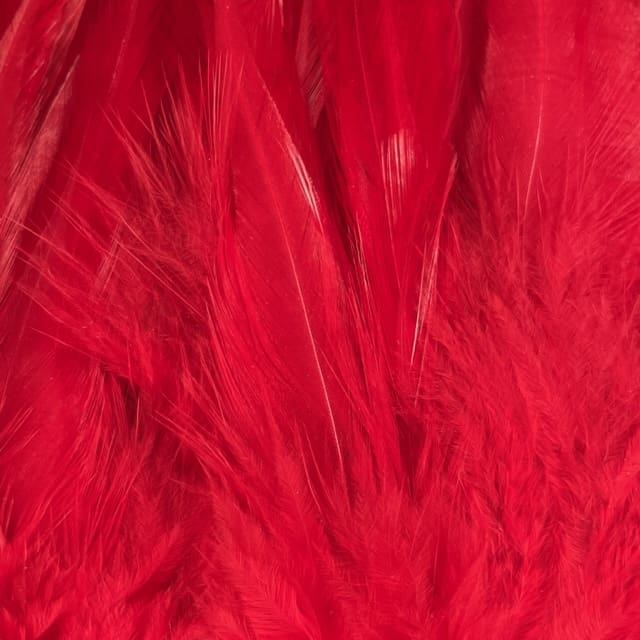 Strung Schlappen 3'' to 5''