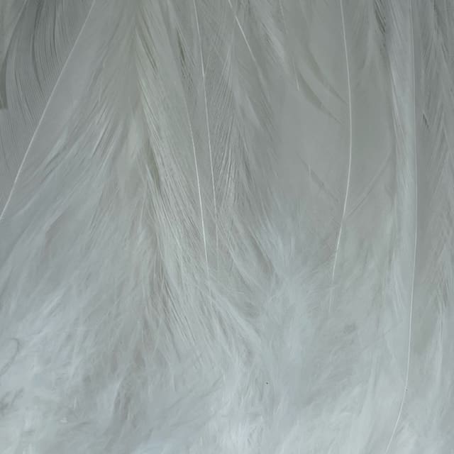 Strung Schlappen 3'' to 5''