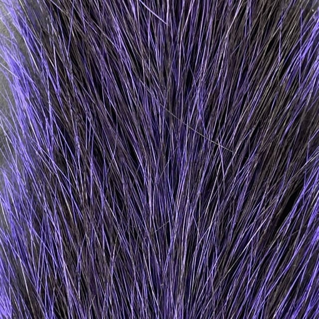 Grey Squirrel - Tail