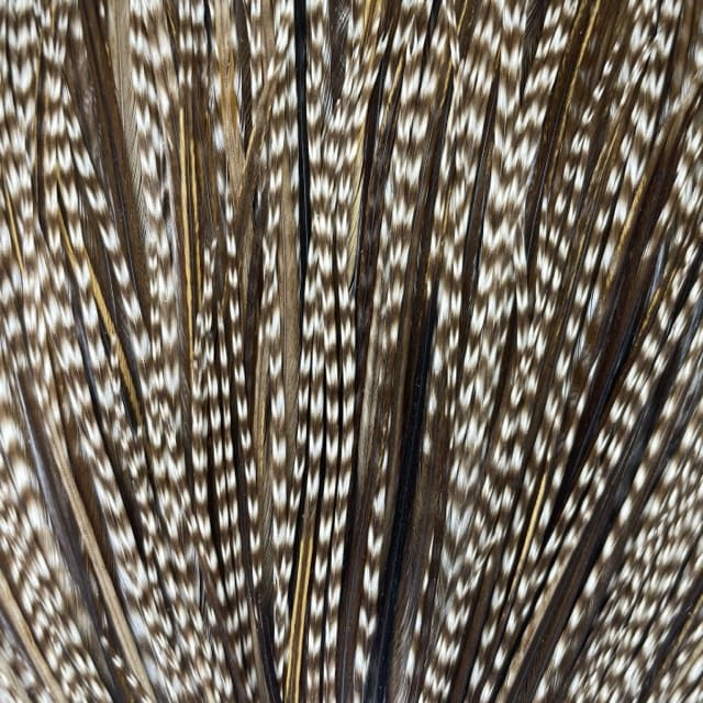 Whiting Hebert Miner Dry Fly - Pro Grade Cape - Noir