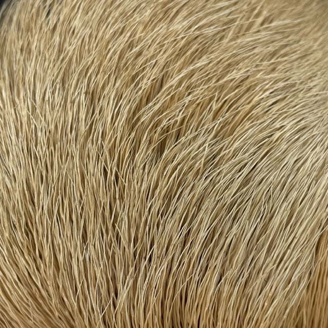 Deer Belly Hair