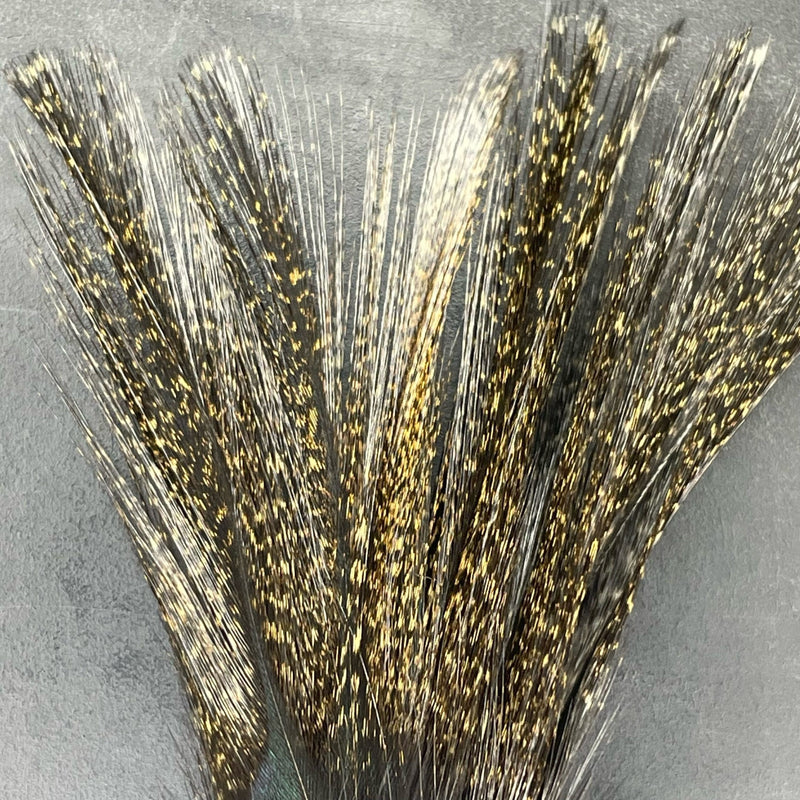 Coq de Leon - Feather Pack