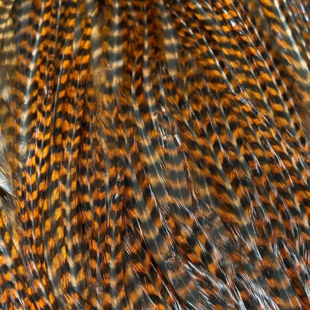 Ewing - Grizzly Rooster Saddle