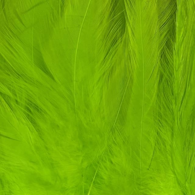 Strung Hackle 5'' to 8''